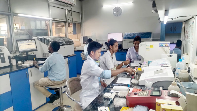 reddy heathcare siliguri